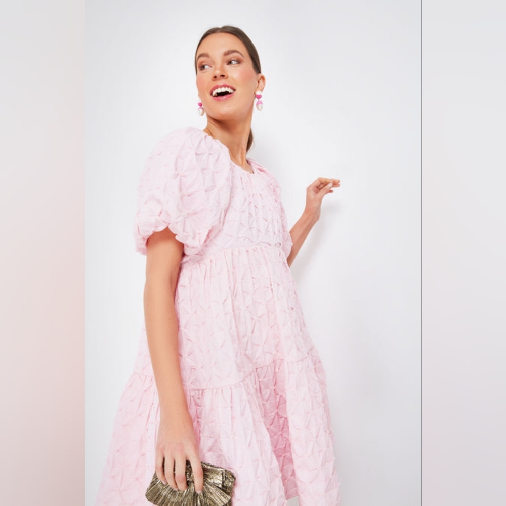NWT Tuckernuck Hyacinth House Isabella in Pink Diamond Textured Mini Dress L - Picture 4 of 14